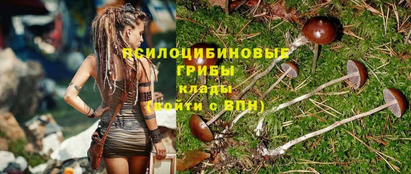 МДПВ Алексеевка