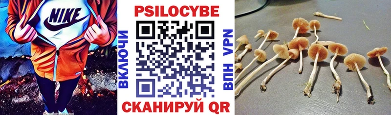 нарко площадка телеграм  Прохладный  Галлюциногенные грибы Cubensis 